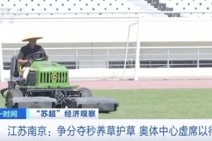 主打一个宠粉！南京奥体中心给草坪开小灶，以满足南京队主场需求